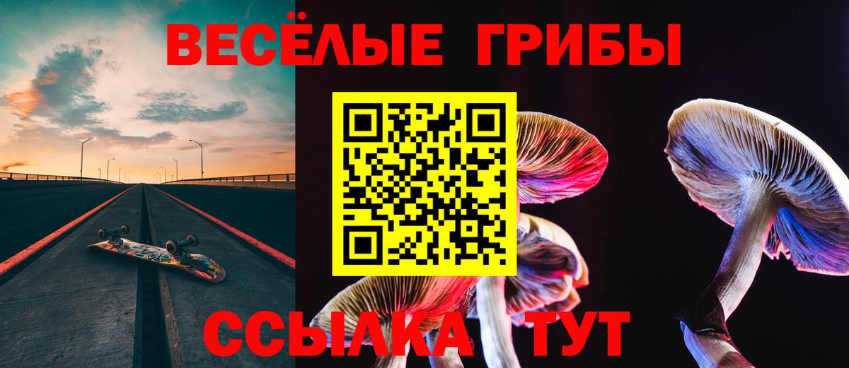 Муром  Псилоцибиновые грибы Magic Shrooms  Вход с VPN  Галлюциногенные грибы Magic Shrooms 